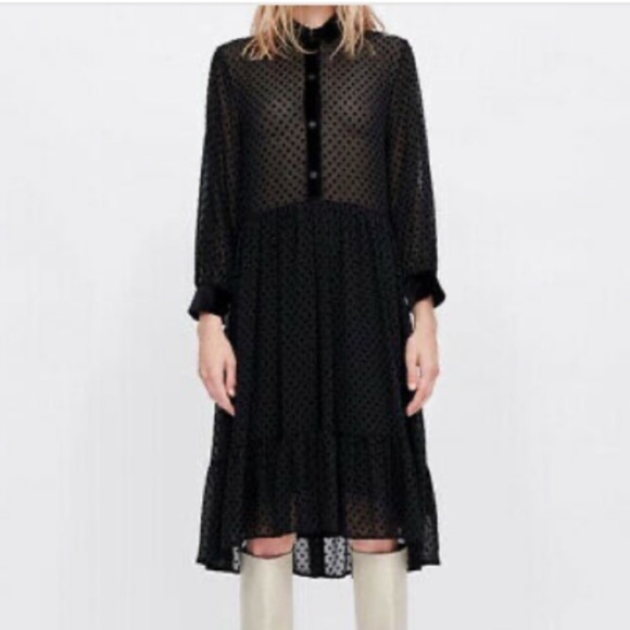 Zara Dresses Zara Swiss Dot Sheer Dress Poshmark